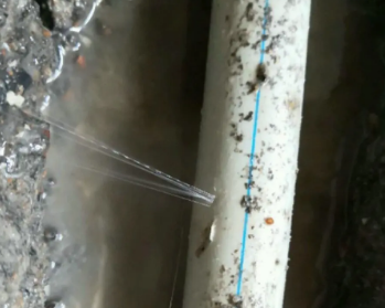 聂荣卫生间测漏水多少钱